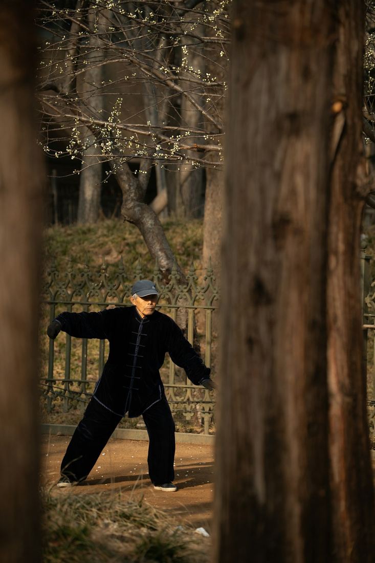 Hombre mayor practicando tai chi con calma en un parque