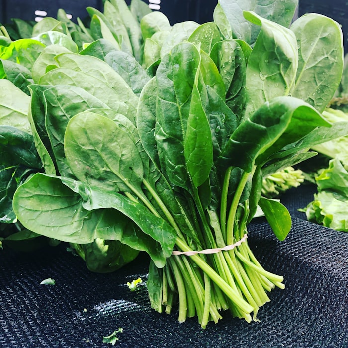 Manojo de verduras de hoja verde fresca